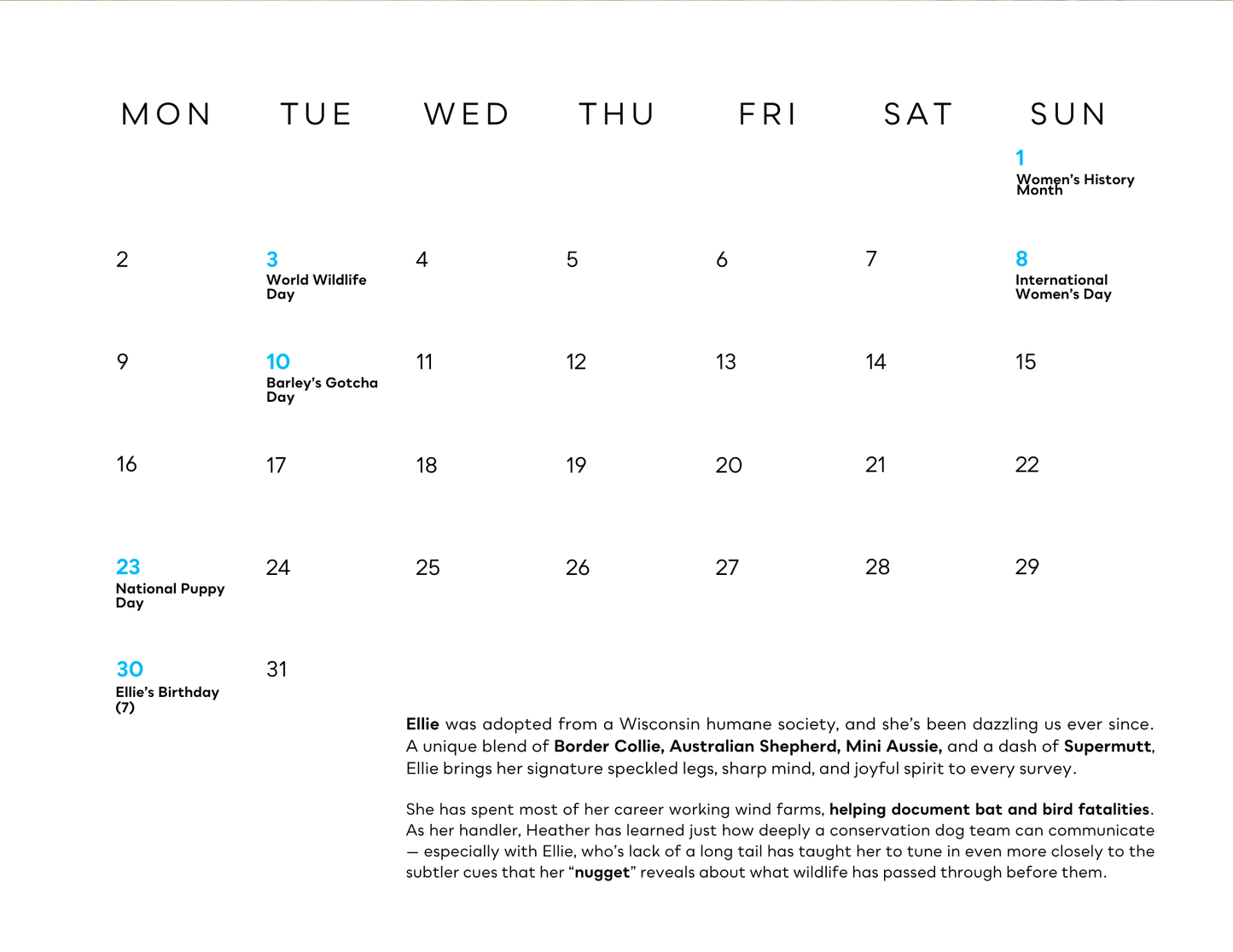 2026 K9 Conservationists Calendar — PRE-ORDER